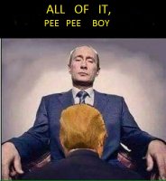 PUTIN'S COCKHOLSTER   PEE PEE.jpg