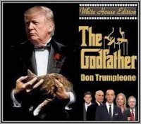 DON GODFATHER.jpg