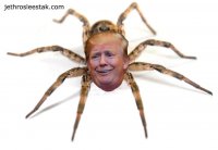TRUMP THE SPIDER.jpg