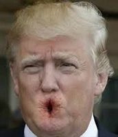 TRUMP FACE.jpg