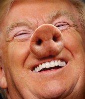 TRUMPIG.jpg