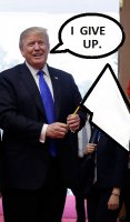 WHITE FLAG.jpg