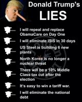 TRUMP'S LIES.jpg