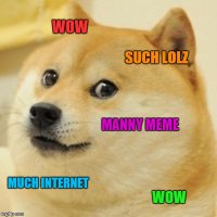 doge.jpg