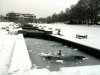 snow.jpg
