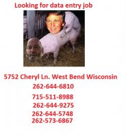 DATA ENTRY JIM Z PIG.jpg