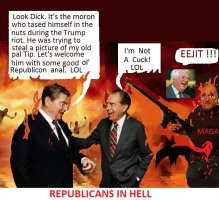 REAGAN AND NIXON WITH  TASER.jpg