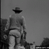 J Arness