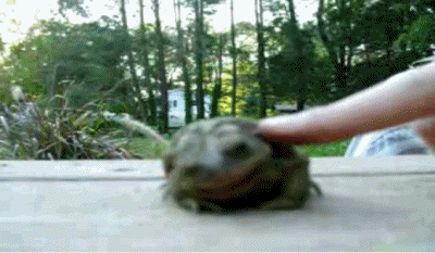 e14661bd211d1e6e558f3a2540250595.gif