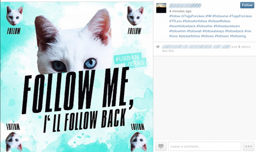 instagram spam