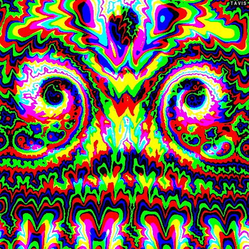tumblr_ndkhgpr4t31tre1zbo1_500.gif