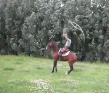 AXWXY.gif