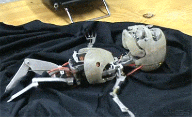 babybot-3.gif