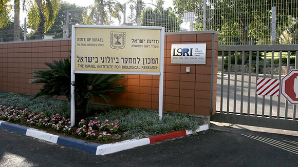 IBR1.jpg