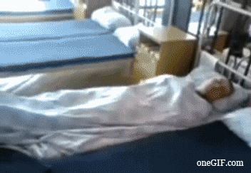 RQpX.gif