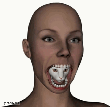 giphy.gif