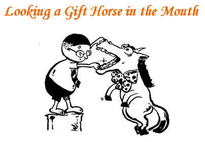 blog-looking-a-gift-horse.png