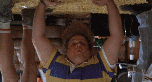 tumblr_mi12xlCQvK1qgcra2o1_500.gif