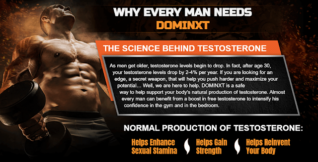 dominxtreview.wordpress.com