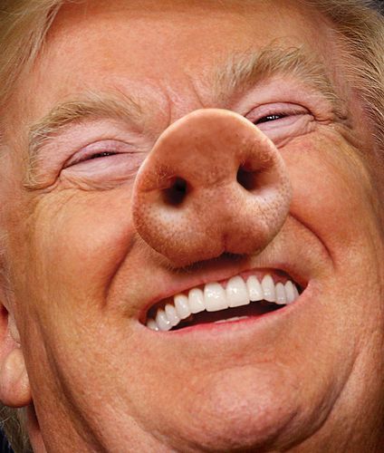 527e86e2902d62ea79707e53ac89c46cf0-trump-corruption-homepage-2.2x.h250.w212.jpg